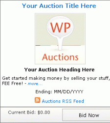 wp auctions sidebar screenshot