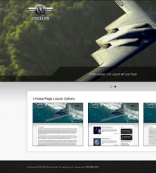 WordPress Stealth