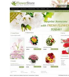 MAG070096 – Flower Store