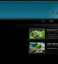 WordPress Chameleon