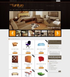 Furniture Store