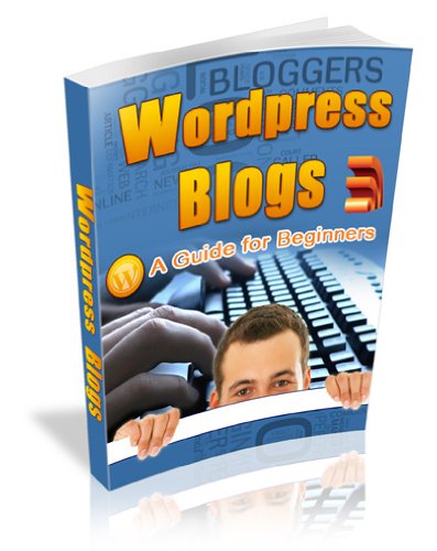 WordPress Blogs: A Guide For Beginners (Kindle Edition)