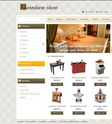 PRS010004 – Furniture Store