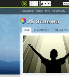 JS Schema