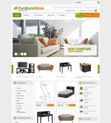 CS03C20065 – Furniture Store