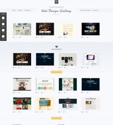 Web Design Showcase