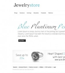 OPC010009 – Jewelry Store