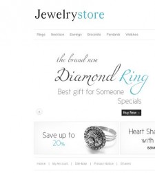 ZEN010002 – Jewelry Store