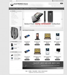 ZEN010010 – Electronics Store