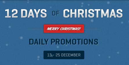 WooThemes 2011 Christmas Special Offers