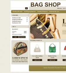 PRS030060 – Fashion Bag Store