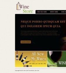 ZEN030055 – Wine Store