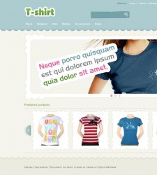 PRS040081 – T-shirt Store