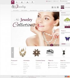 CS03C00549 – Jewelry Store