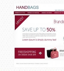 OSC010010 – HandBag Store