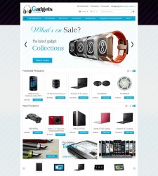 CS03C00561 – Gadget Store