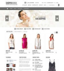 OS23130011 – Fashion Store