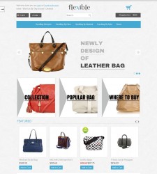 OPC060146 – Bag Store