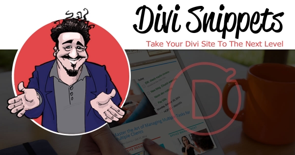 Divi WP Theme Snippets
